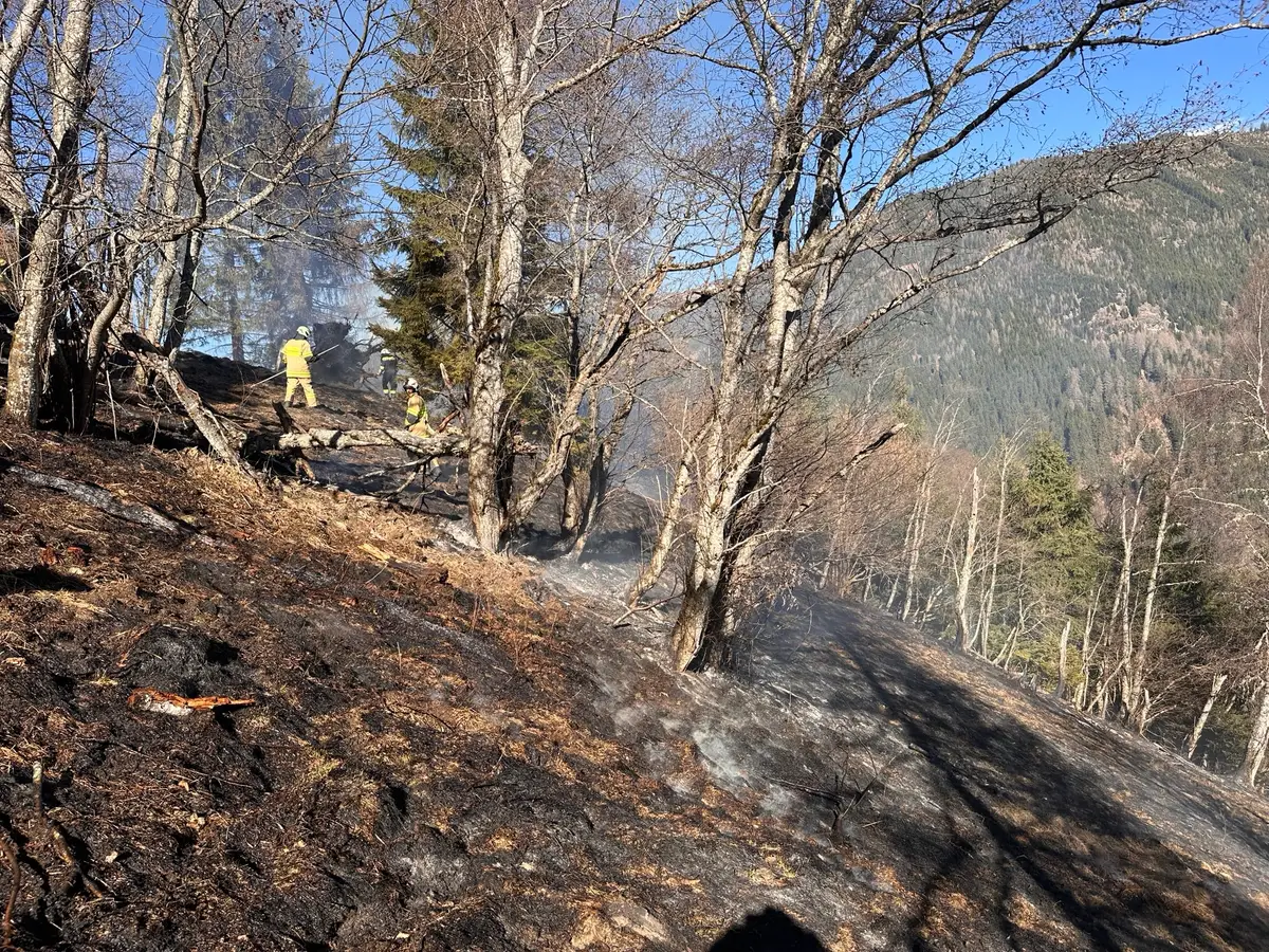 Waldbrand in Predlitz